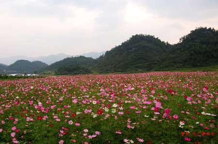 涪陵大木花谷御泉河漂流二日游火热召集中